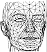 WireHead 1.gif