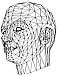 WireHead 2.gif