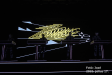 pic